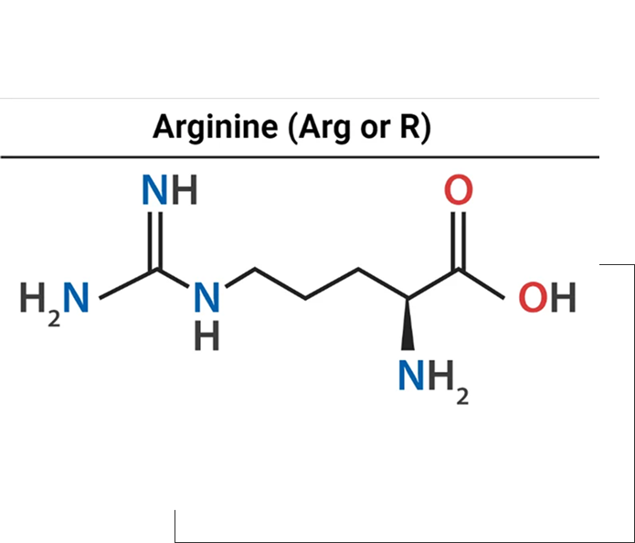 Vitamin B6/B12 old